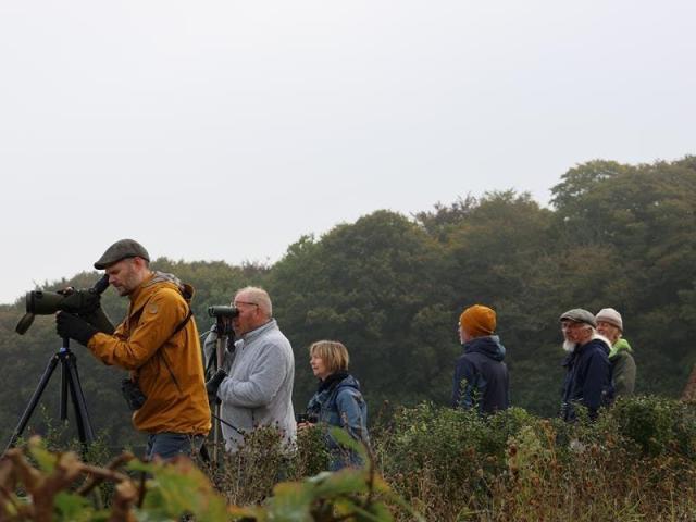 Trektellen, Eurobirdwatch 1 © Robin Vanheuverswyn